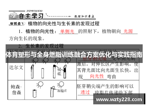 体育塑形与全身燃脂训练融合方案优化与实践指南