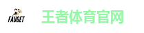 王者体育官网